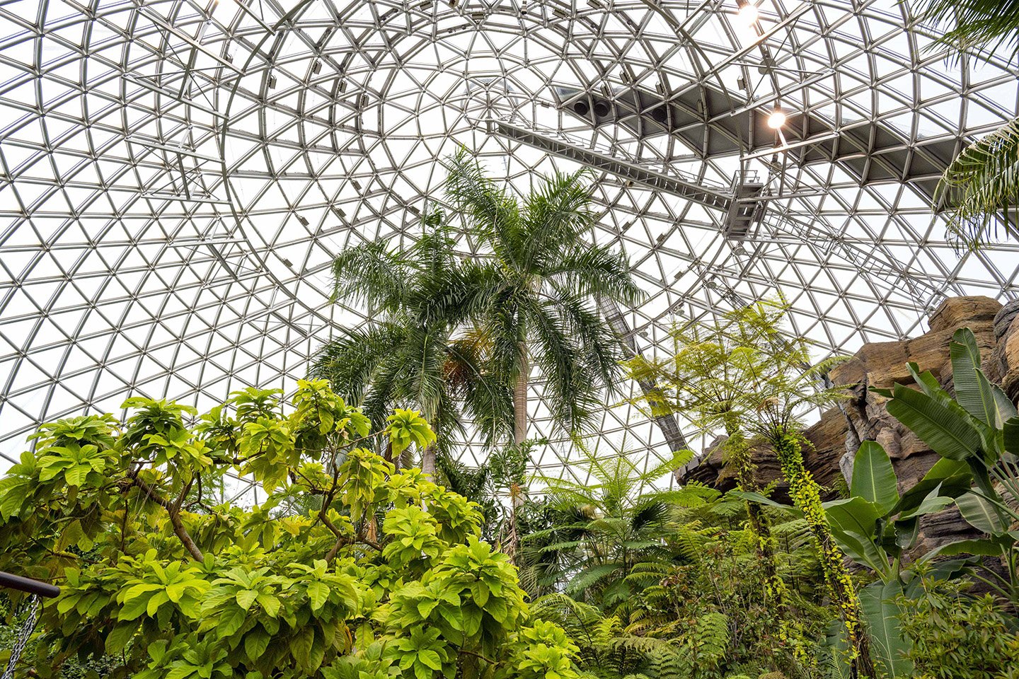 🌿 니가타 현립 식물원 (니가타 켄리츠 쇼쿠부츠엔) 이미지 3